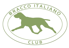 Bracco Italiano Club UK