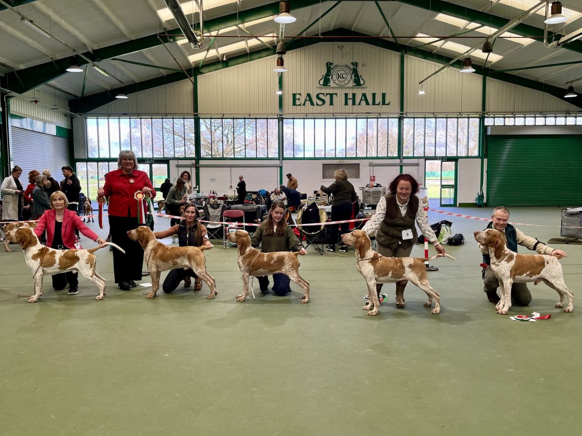Open show results