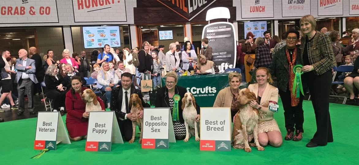 Show Results – 2025 Challenge Certificates, Crufts