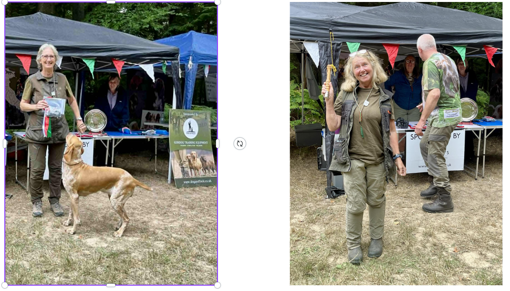 Bracco Italiano Club GWT 2025 Results
